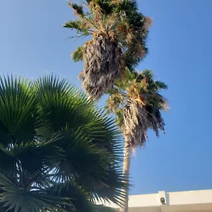 Sea Shell Palms, Giamaica